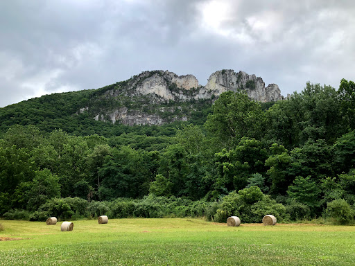 Seneca Shadows Campground - Thumbnail