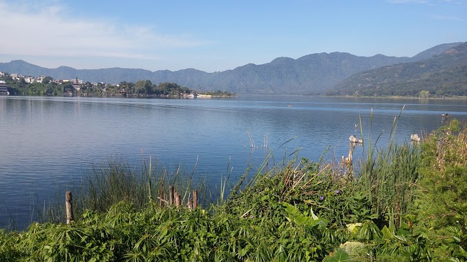 Public Dock, Author: Jaime Castro