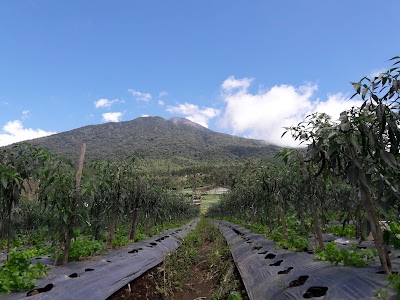 Photos of Pos 1 Shelter Gardu Pandang, Jalur Pendakian Gunung Slamet via Bambangan