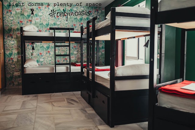 Oasis Backpackers Hostel Malaga