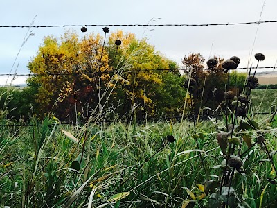 Standing Rock State Historic Site