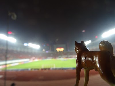 Photos of Guangzhou Tianhe Sports Center Stadium