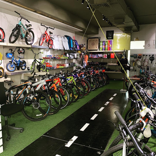 Gallery image 6