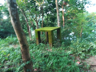 Photos of Banshkhali Eco Park