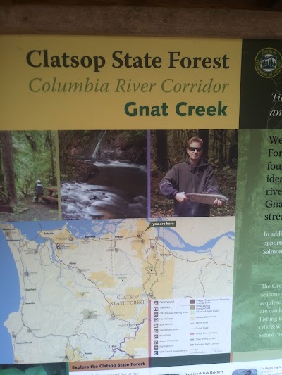 Gnat Creek Campground