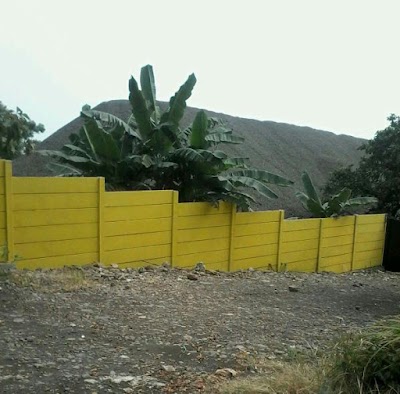 Photos of Pom Petir