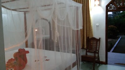 Photos of Jungle Nature Villa