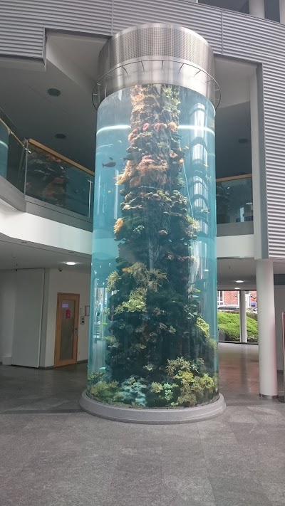 Photos of Kreissparkasse Osterholz - Main Office