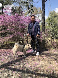 ペットシッターコトブキサービス