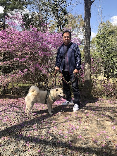 ペットシッターコトブキサービス