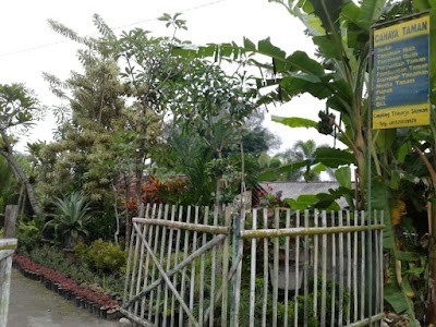 Photos of Eko Cimpling Cahaya TAMAN