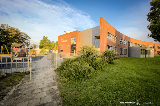 Public Elementary School de Bascule Gallery - Netherlands
