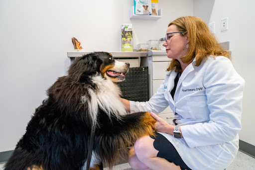 Seatown Veterinary Care - Thumbnail
