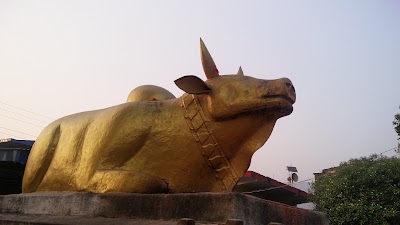 Photos of Pashupati Temple