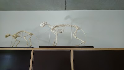 Photos of Animal Hospital Panitzsch (b. Leipzig)