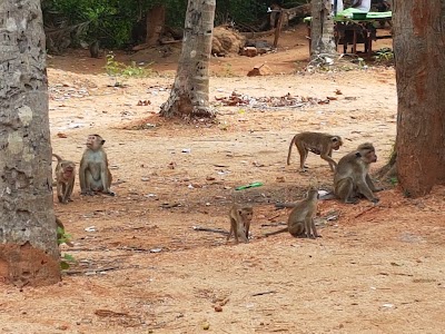 Photos of Dambulla Cave Temple