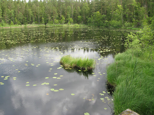 Skiren-Kvicken
