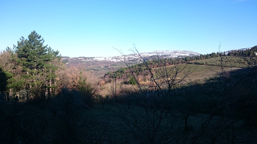 Chiesa di Sant'Ilario a Montereggi - Thumbnail