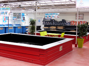 Photo n°28 de L'Oasis (matériel de bassin et carpe Koi japonaise) à Saint-Georges-sur-Baulche (Magasin d'articles d'aménagement aquatique du jardin)