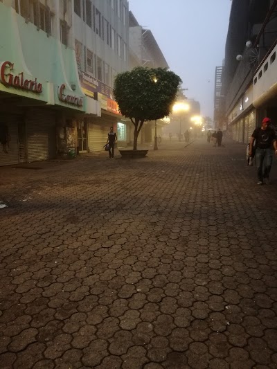 Photos of Galer&iacute;a Central