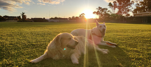 Port Pirie Golf Club Gallery - Australia