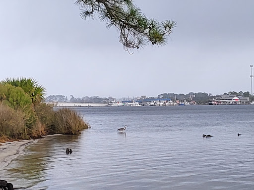 Camping Area at St Andrew's State Park - Thumbnail