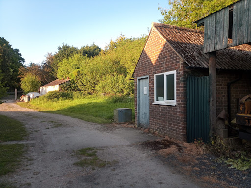 Burstye Soays C L Gallery - United Kingdom
