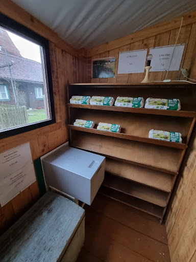 Bio-Eierhütte - Visual