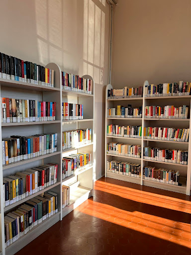 Biblioteca Comunale 'Pier Vittorio Tondelli'