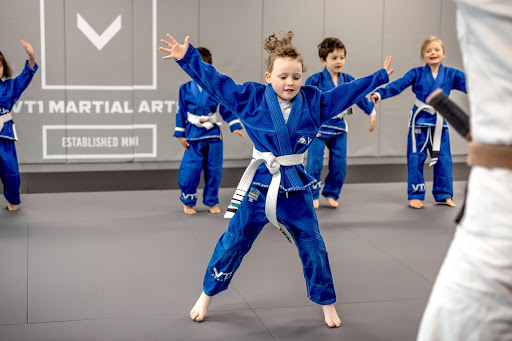 VT1 Martial Arts Academy - Thumbnail