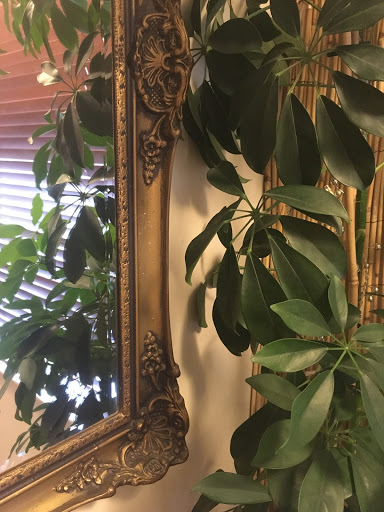 Chakra Therapy Rooms