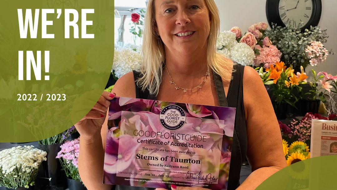 Taunton Flower Studio Hours Best Flower Site