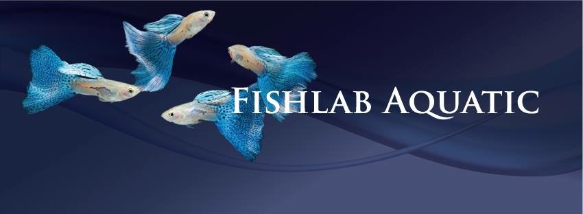 Fishlab Aquatic, Author: Fishlab Aquatic