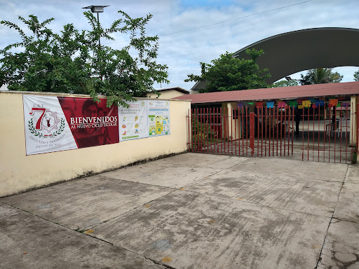 Escuela Secundaria Tecnica Num. 7 "General Guadalupe Victoria" - Thumbnail