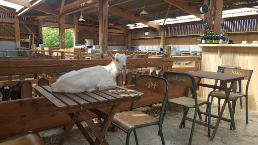 Photo 3 - Bar'Bichette Rieulay