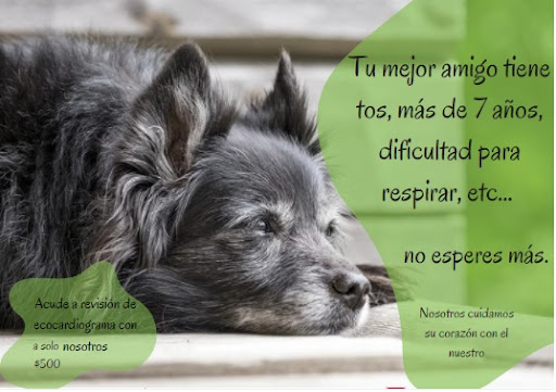 Veterinaria Megos