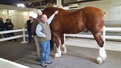 Kentucky Horse Park Foundation