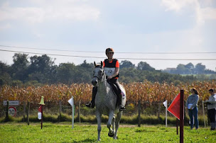 Photo n°13 de Ecurie d Arrosa à Bergouey-Viellenave (Centre de randonnée équestre)