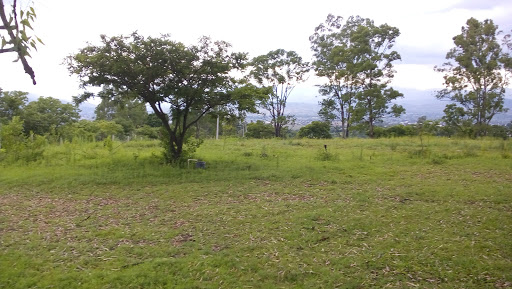 Predio Loma Blanca - Thumbnail