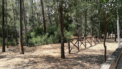 Photos of Hotel Viteama