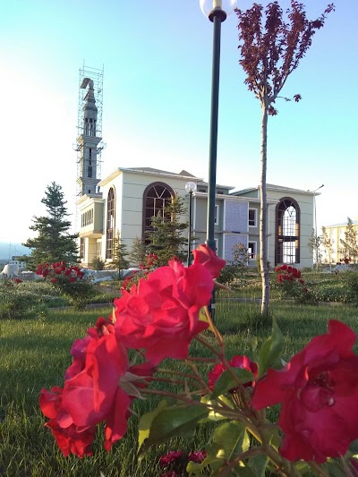 Ömer Dinçer Fen Ve Sosyal Bilimler Anadolu İmam Hatip Lisesi