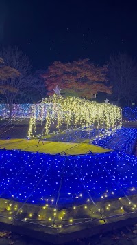 メイプルタウンイルミネーション