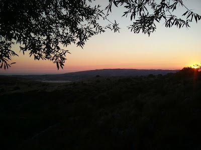 Photos of Asteras Studios