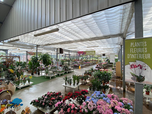 Photo de Les Serres d'Angresse - Jardinerie à Angresse (40150)