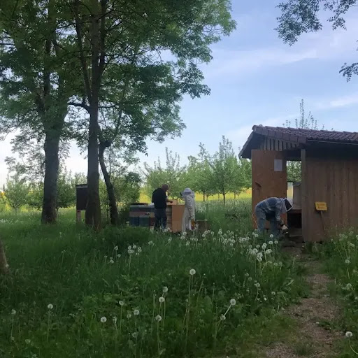 Lehrbienenstand des Zeidlervereins Rothenburg ob der Tauber - Thumbnail