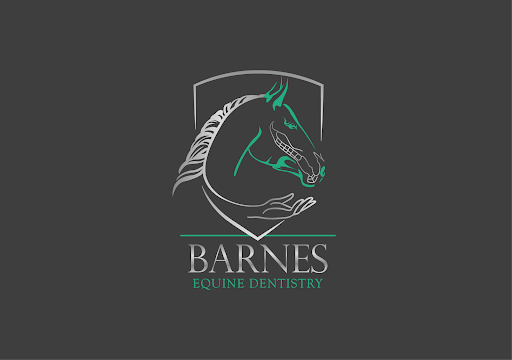 Barnes Equine Dentistry
