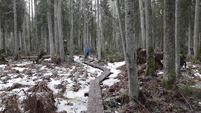 Photos of Oandu-V&otilde;su matkarada