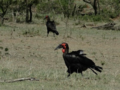 Photos of Naboisho Camp