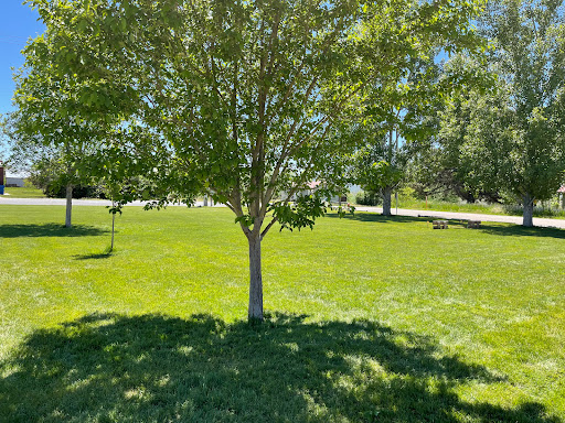 Arimo Park - Visual