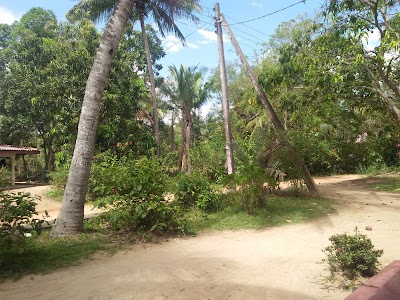 Photos of Medinnoruwa Siri Priyadarshanarama Viharaya